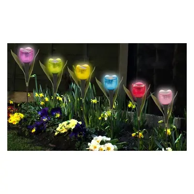 Tulip-Shaped Garden Solar Lights, Set of 6,Pink