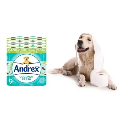 Andrex Coconut Fresh Two-Ply Toilet Tissue Paper, 90 Rolls