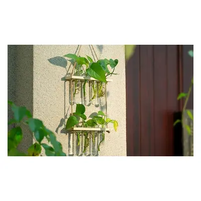 Test Tube Hydroponic Vases in Two-Layer Frame, Wood