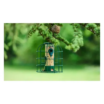 Metal Squirrel-Proof Bird Feeder, Nut Feeder,Two