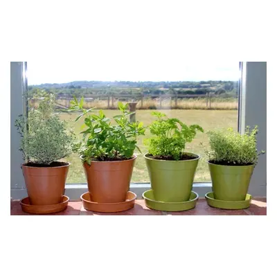 Five Planter Pots, Sage Green,Without Saucers