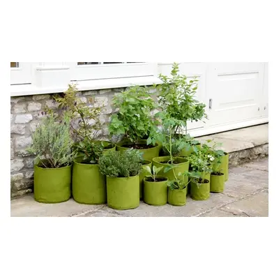 Vigoroot Pots and Planters,Pack of Three Vigoroot 5 Litre Pots