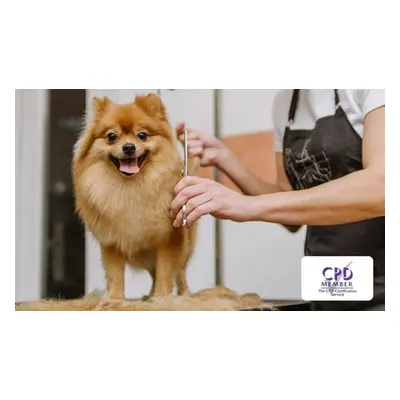 Complete pet care online course - animal psychology pet first aid CPR and pet business