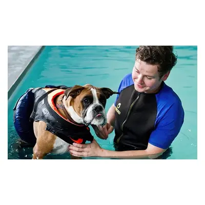 Doggy Fun Swim With Hydrotherapist