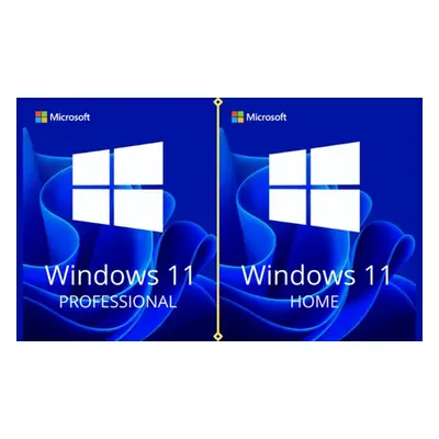 Microsoft Windows 11 Home Lifetime License 1PC