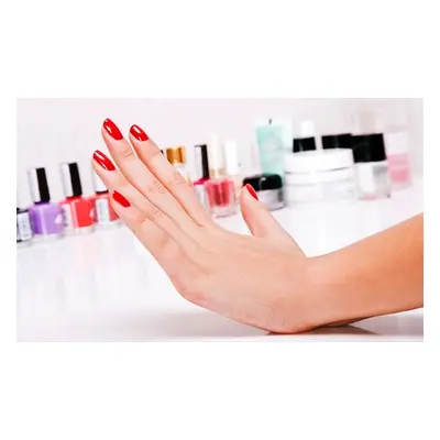 Shellac Manicure or Pedicure