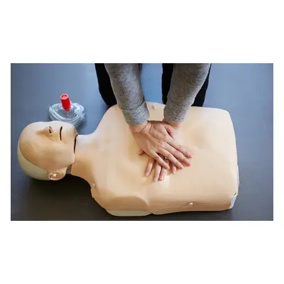 One-day first aid course with three-year certificate for two