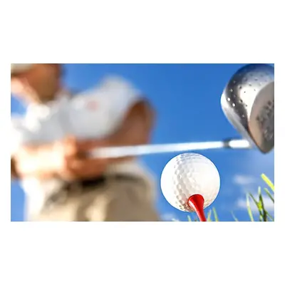 Six 60-minute PGA Golf lessons for starters and players over 18 handicap