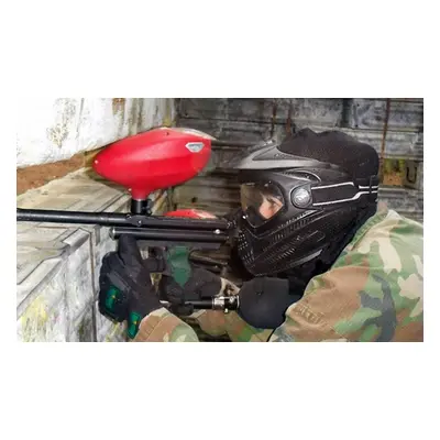 Paintball For 10 With 100 Balls Each