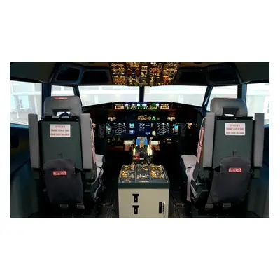 60-minute 737 Boeing flight simulator experience