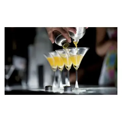 Online Bartending Diploma Course