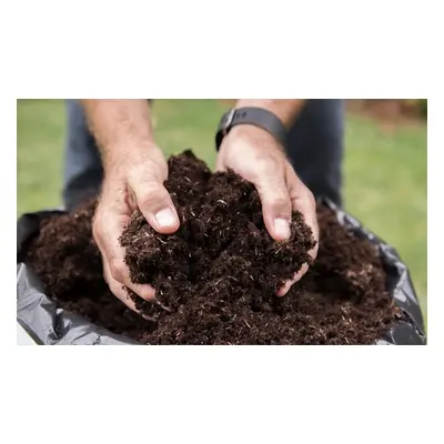 Peat Free Multipurpose Compost 100L