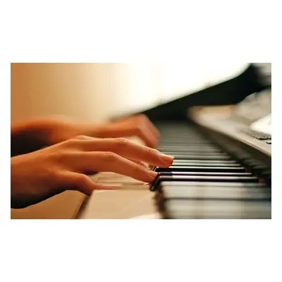 30-minute introductory music lesson