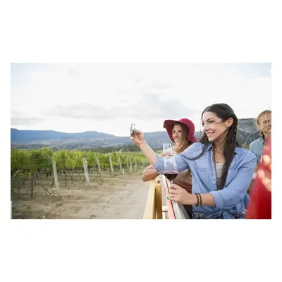 Guided vineyard tour and tasting for two