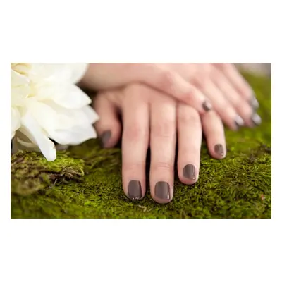 Shellac manicure or pedicure