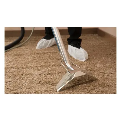 Two rooms and a hallway, carpet cleaning