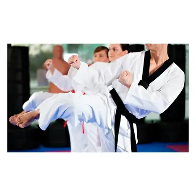 Six Taekwondo classes and lifetime membership