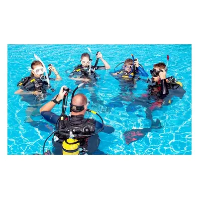 Discover SCUBA Diving Experience