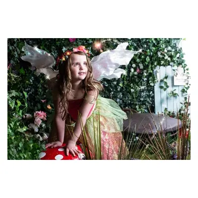 60-minute kids fairy photoshoot with a 10 x 8 print