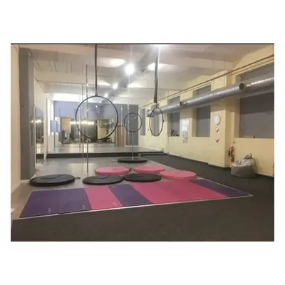 Two Pole Dance & Fitness Classes for One Person