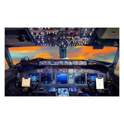 60-minute Bell 206 Jet Ranger helicopter flight simulator experience; valid Monday - Friday