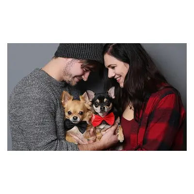 Family photoshoot with pet