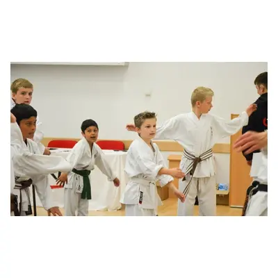 Six Karate classes for one child