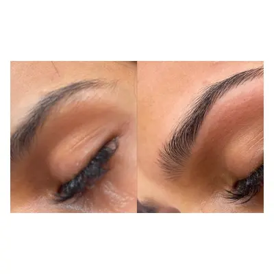 Three Eyebrow Threading and Tinting Sessions