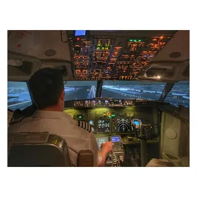 120-minute flight simulator experience