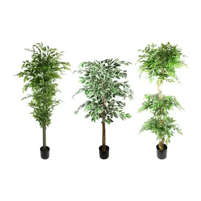 Botanik Artificial Ficus Tree Collection, 180cm Artificial Twisted Trunk Fruticosa Ficus Tree Tr