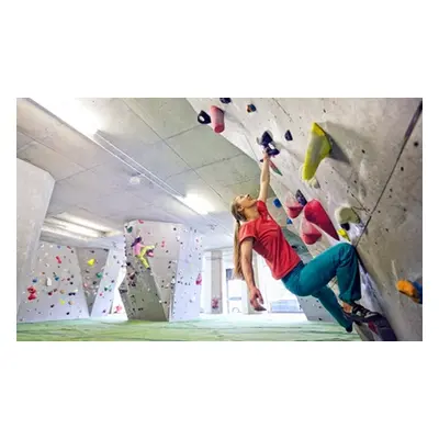 One Introduction to bouldering and a separate full-day pass