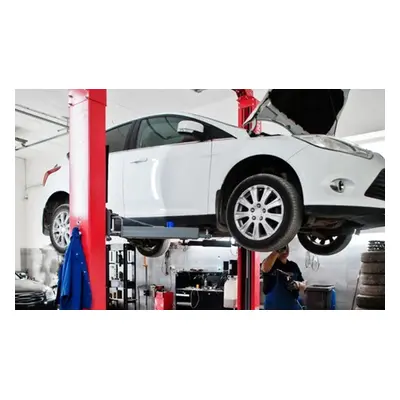 Car Service w, Oil & Filter Change Fluid Top-Ups