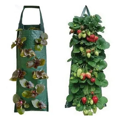 10-Hole Vertical Growing Bags ,Two Sets (Four-Pieces)