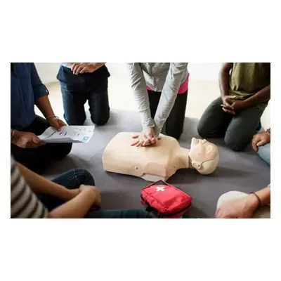 CPR & First Aid Online Course