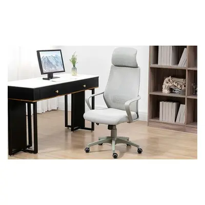 Vinsetto Ergonomic Office Chair, Grey