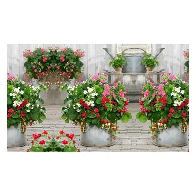 Potted Strawberry Summer Breeze Collection Plants,Three,Without Fertilizer