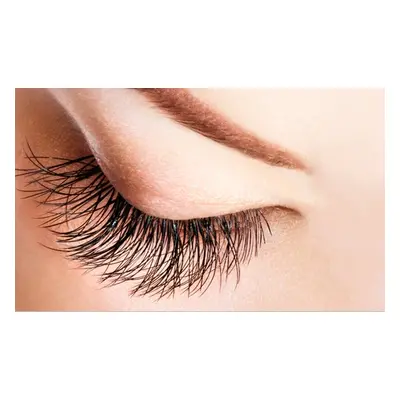 One Full Set of Hybrid Eyelash Extensions