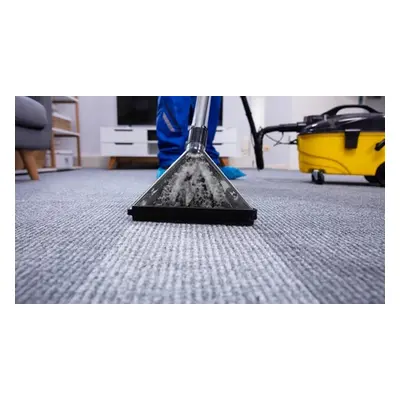 Carpet Cleaner Online Training Course