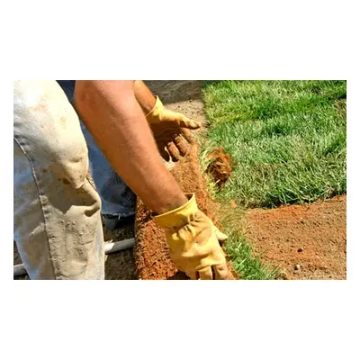 Diploma in Landscaping Technology - 10 Courses Bundle