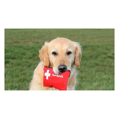 Pet First Aid and CPR Online Course