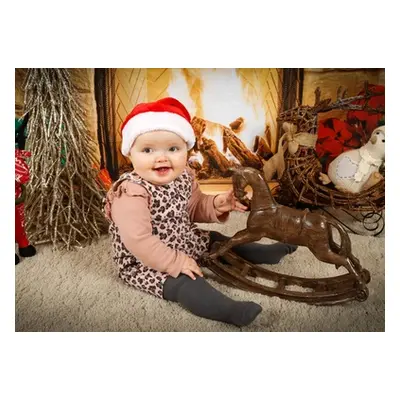 Extended Family Christmas Photo Session - Groups up to 12 people ideal for all the cousins and e