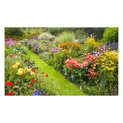 Lucky Dip Cottage Garden Perennial Plants, 9 Plants