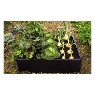 Raised Bed Kit