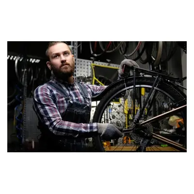 Beginner Bike Maintenance Online Course