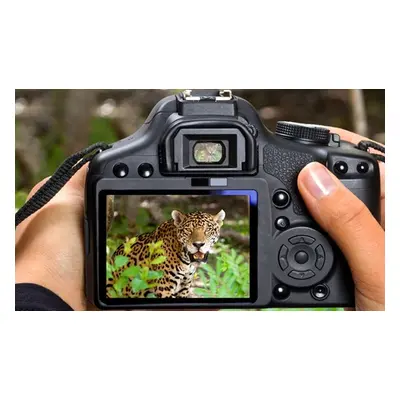 Wildlife Photography Workshop for Beginners