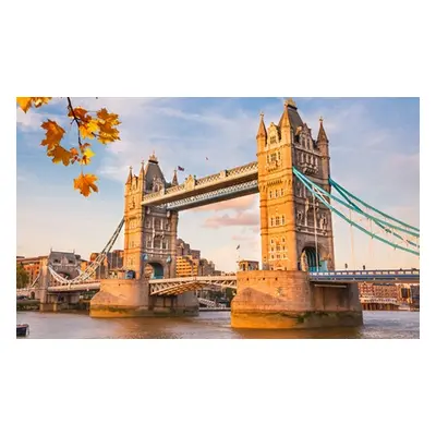 London Sightseeing RETURN Ticket Adult (Sunday to Friday) Any Route