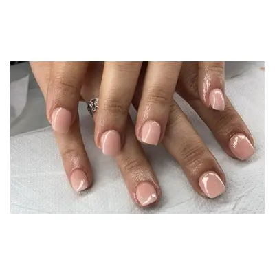 Shellac Manicure or pedicure