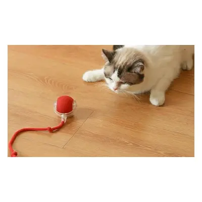 Interactive Electric Cat Toy, Red Ball with Red Rope