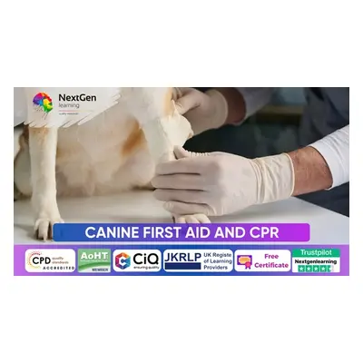 Canine First Aid and CPR - Online Course