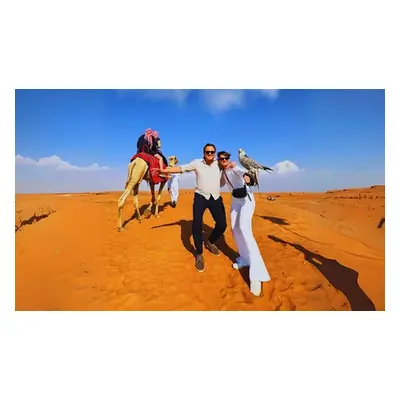 For One Adult, Abu Dhabi Desert Safari with Central Pickup - Dinner & Live Shows